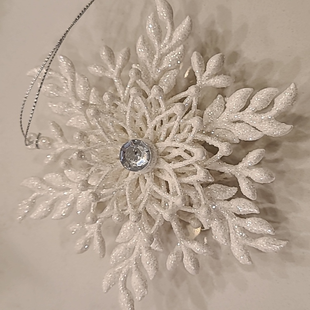 Pier 1 Imports Snowflake